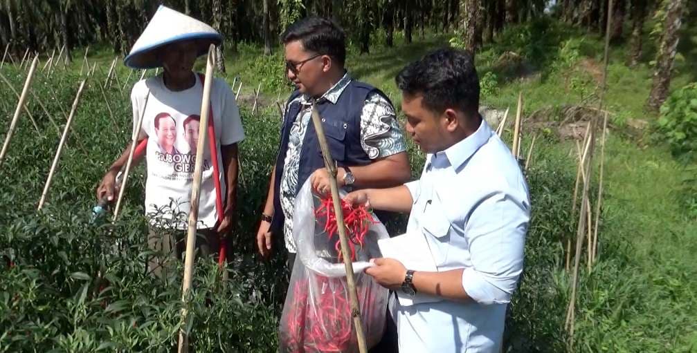 Berdayakan Petani dan Peternak, SPPG Sabungan Salurkan Makanan Bergizi untuk Ribuan Pelajar